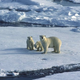 Illustration for article titled What Exactly Is Global Warming?